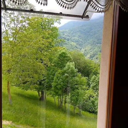 I Frutti Di Bosco Paesana